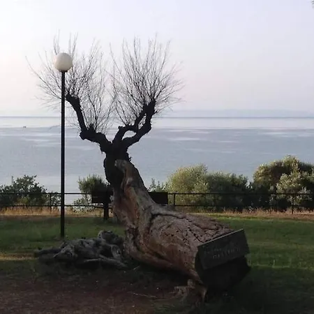 με θέα στην θάλασσα